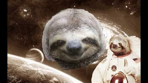 space sloth